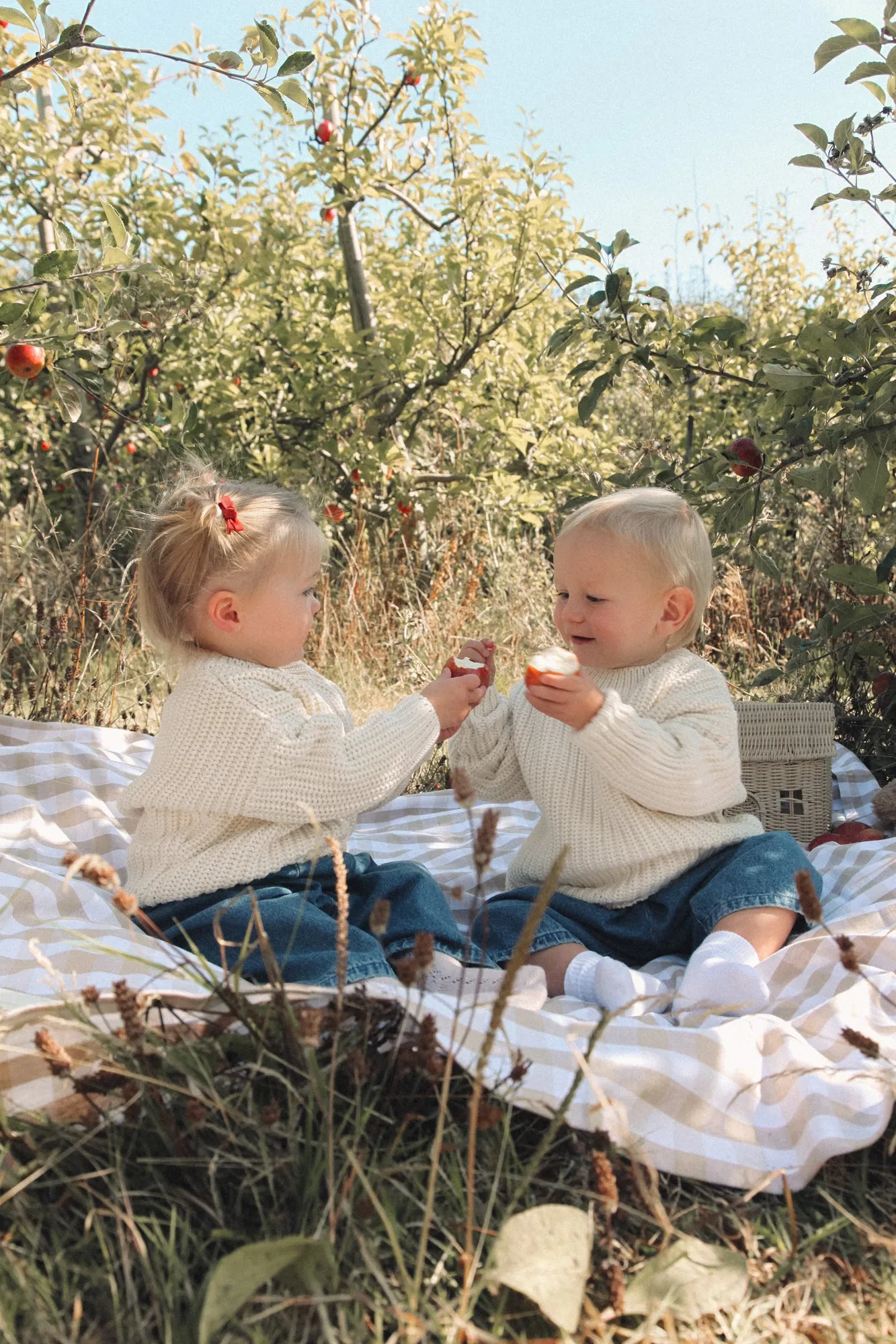 Organic Cotton Chunky Knit Jumper in Cream